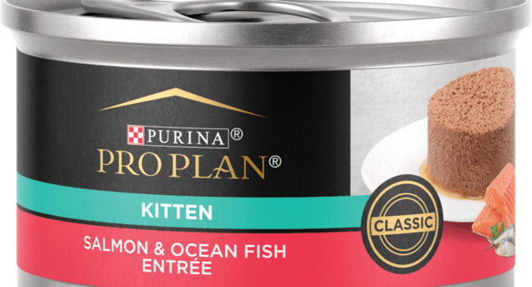 Purina Pro Plan Development Salmon & Ocean Fish Entrée Classic